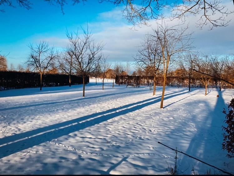De Appelhoeve Terschuur Esterno foto