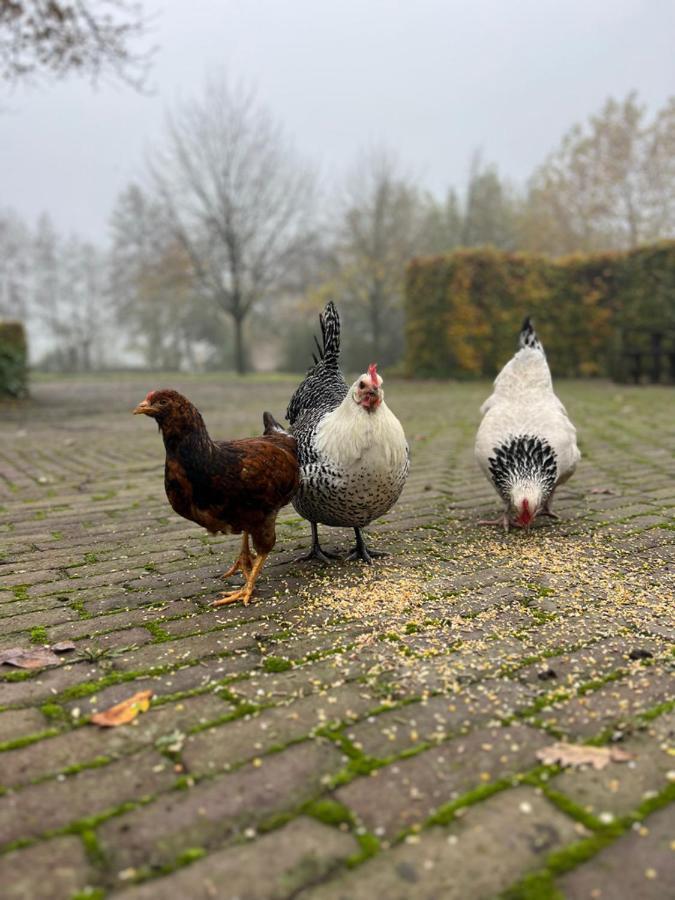 De Appelhoeve Terschuur Esterno foto